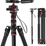 NEEWER Basics Camera Tripod Monopod, 77